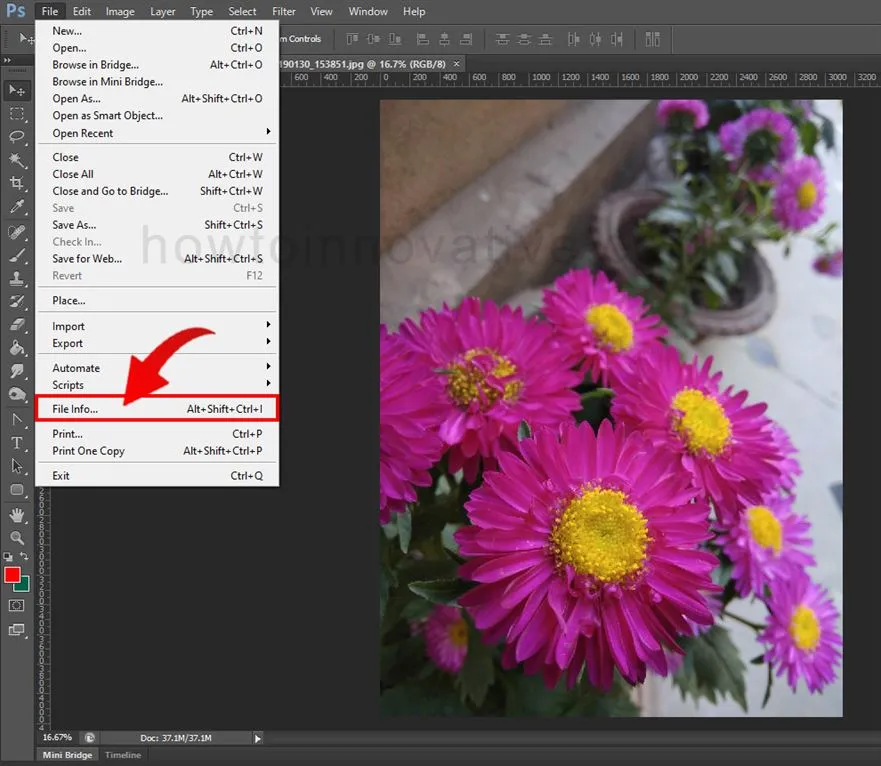 Find the location of an image in Photoshop