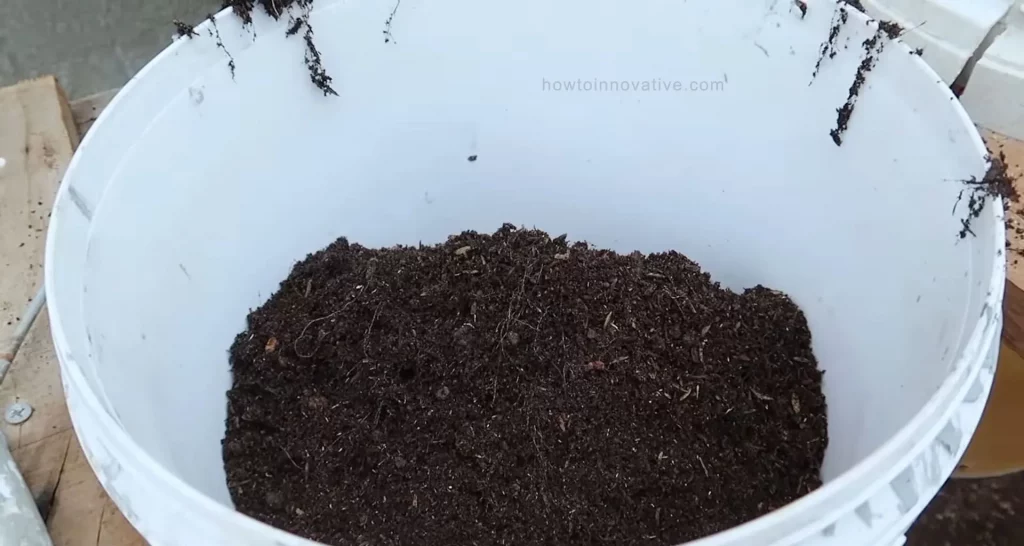 How to Grow Potatoes in a Bucket [5-Gallon] A Step-by-Step Guide - Preparing the Soil - Add about 6 inches of the soil mixture to the bucket