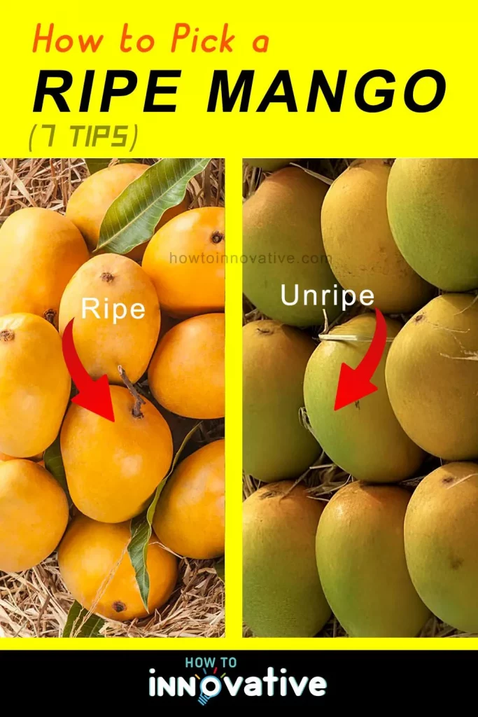 How to Pick a Mango How to Pick a Ripe Mango at the Store - Different varieties have different ripe colors