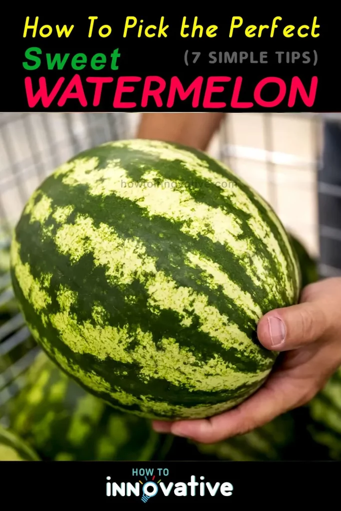 How to Pick the Perfect Sweet Watermelon 7 Simple Tips - A ripe watermelon will have a dull, matte finish