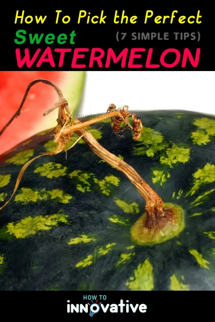 How to Pick the Perfect Sweet Watermelon 7 Simple Tips - Check the stem—it should be dry and yellow-brown