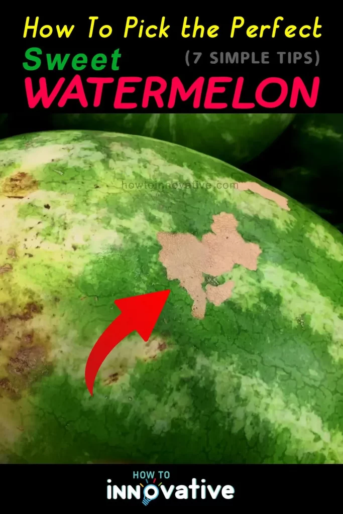 How to Pick the Perfect Sweet Watermelon 7 Simple Tips - Sugar spots and webbing are the brown, rough patches on a watermelon’s surface