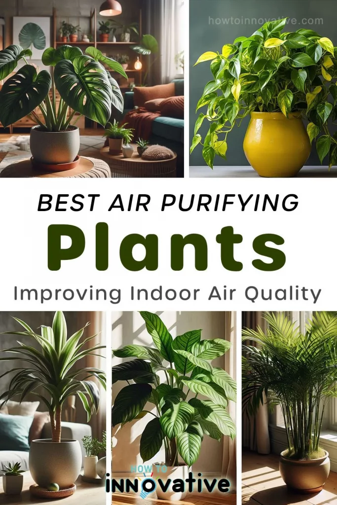 10 Best Air Purifying Plants for Apartments - Plants for Improving Indoor Air Quality 2