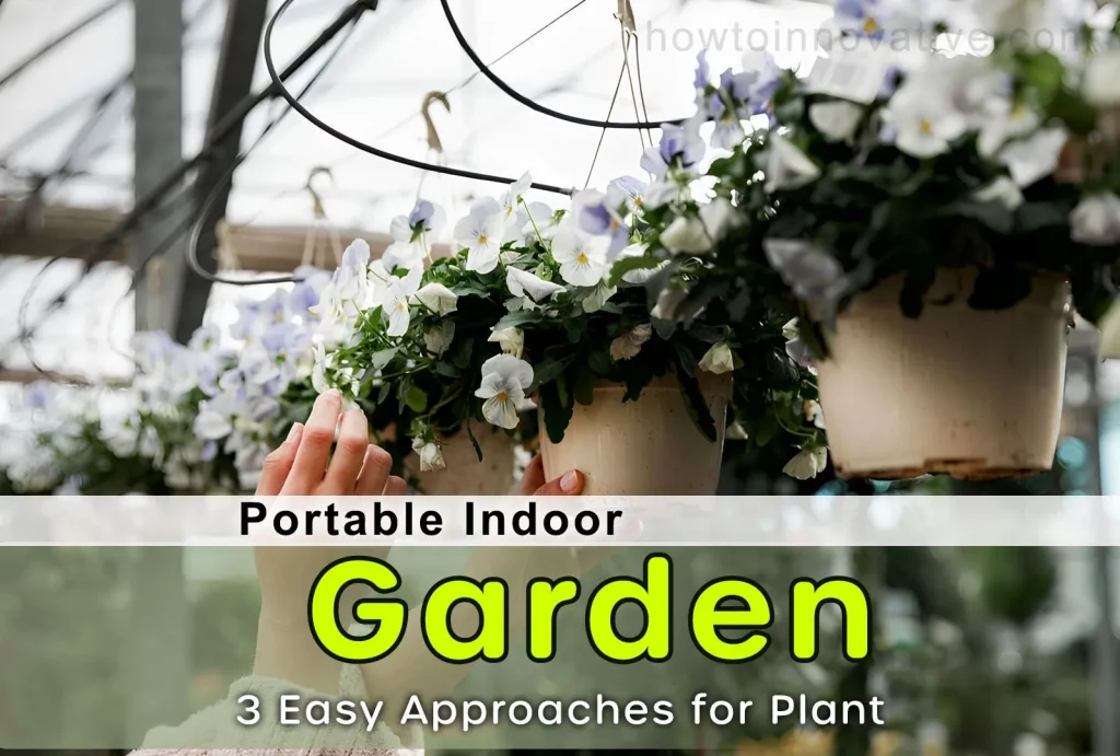 Portable Indoor Garden - 3 Easy Approaches for Plant Beginners