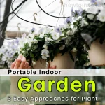 Portable Indoor Garden - 3 Easy Approaches for Plant Beginners
